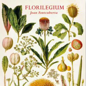 Florilegium